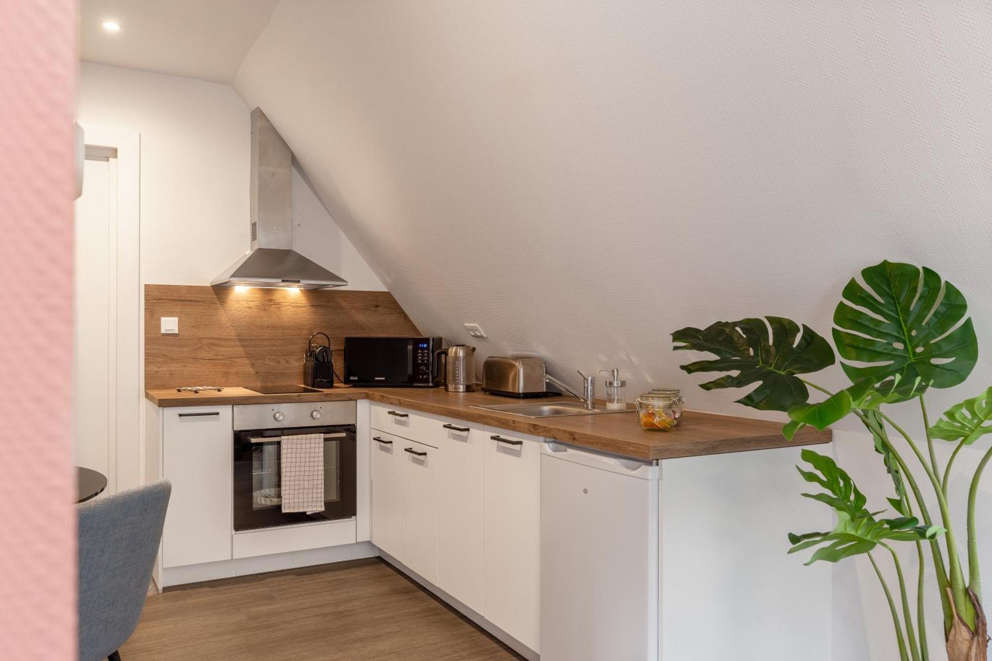Travel Homes - Rapp, Charm In The Heart Of Colmar Zewnętrze zdjęcie